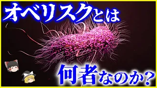 【ゆっくり解説】人間から発見された謎の新生物「オベリスク」とは何者なのか？を解説/ ウイルスでもバクテリアでもない⁉️カギを握るのは「ウイロイド」