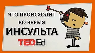 🔶 Что происходит во время инсульта? [Ted-Ed на русском]