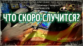 Что скоро случится и как это изменит Вашу жизнь? Гадание онлайн 🎴 Таро онлайн 🍀 Таролог Алехандро