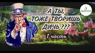 Ужасные ошибки аквариумистов. Будь умнее!