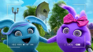 Sunny Bunnies | Picture Day | COMPILATION | Cartoons for Children