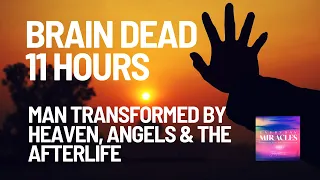 Brain Dead 11 Hours, A Man Encounters Heaven, Angels and the Edge of Hell