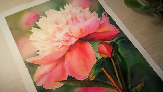 🌺Как нарисовать ПИОН АКВАРЕЛЬЮ / Peony watercolor / 모란 수채화.🌺