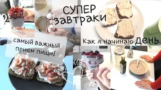 ЗАВТРАКИ для ПОХУДЕНИЯ / 5 вариантов ЗАВТРАКОВ / Правильные завтраки / ПП / Самый важный прием пищи