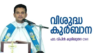 Holy Mass I Malayalam I Syro Malabar I Fr. Vipin Kurishuthara CMI | Potta LF Church | പാട്ടുകുർബാന