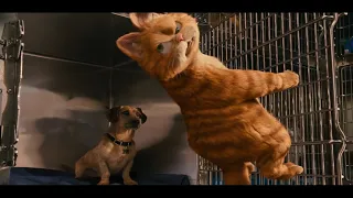 Garfield 2 - kennel