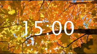 15 Minute Autumn Leaves Timer - LoFi Fall Leaves Classroom Countdown Timer