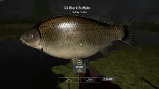 Russian fishing 4 Black Buffalo Trophy