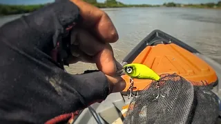 essa isca não falha pesca ultralight - caiaque tuna 115