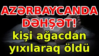 AZƏRBAYCANDA DƏHŞƏT!  kişi ağacdan yıxılaraq öldü, xəbərlər, son xeberler, bugun