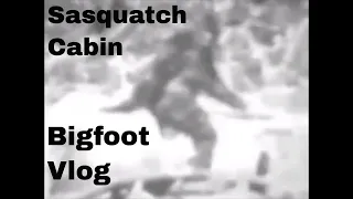 Sasquatch Cabin Bigfoot Vlog