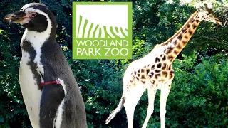 Woodland Park Zoo Tour & Review with The Legend