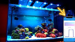 Setting the MASTER/CLONE mode in Skylight reef lamps - HYPERSPOT RS, RM and RL.