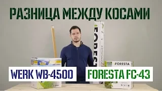 Китайская мотокоса 🌿 В чем разница?