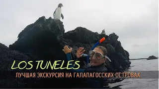 Los Tuneles is the best excursion in the Galapagos Islands. Ecuador