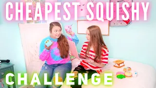 WHO CAN BUY THE CHEAPEST SQUISHIES CHALLENGE | Bryleigh Anne