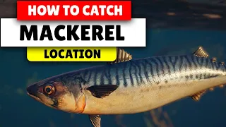 Assassin's Creed Valhalla How to find Mackerel | 3 Locations