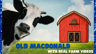 Preschool Songs! Old MacDonald Had a Farm Circle Time for School Kids