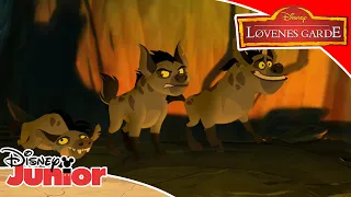 Løvenes Garde | Hyeneharmoni 🎶 | Disney Junior Norge