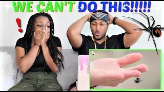 Brave Wilderness "WILL IT BITE?! - Black Widow Challenge" REACTION!!!!