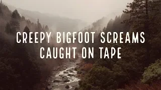 BIGFOOT SCREAMS CAUGHT ON TAPE - (VERY CREEPY) - Mountain Beast Mysteries Episode 50.