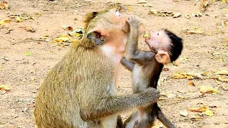 SO BEAUTIFUL CUTE BABY ANIYA TRY CATCHING FOOD FROM MOM APRIL , GIVE ME MUM.