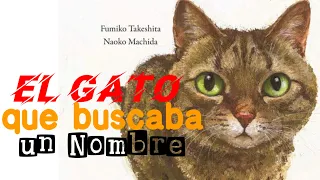 El Gato que buscaba un nombre 🐱 | Audiocuento Infantil