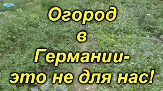 Какие бывают огороды в Германии.