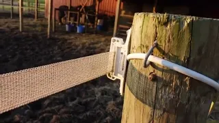 Poly tape horse fence review