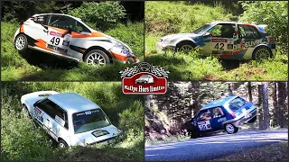 Rallye du Forez 2023 [CRASHES]