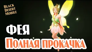 BLACK DESERT MOBILE: Фея - полная прокачка