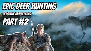 Deer Hunting Part # 2 || Fallow & Red Deer Rut || 30-06 Rifle || Stalking