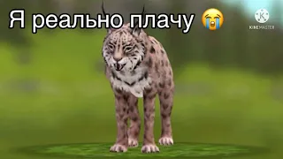 У меня слетел аккаунт в wildcraft с wildclubом