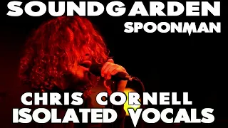 Soundgarden - Chris Cornell - Spoonman - Isolated Vocal Tracks  - And Singing Tutorial