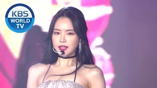 Apink(에이핑크) - INTRO + %%(Eung Eung) [2019 KBS Song Festival / 2019.12.27]