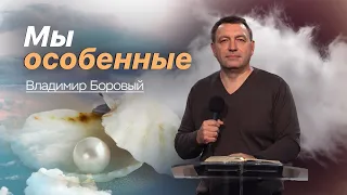 Мы особенные - Боровый Владимир