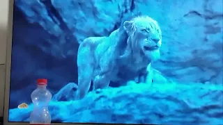 Simba из Короля льва