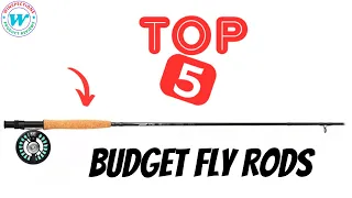 Top 5 Best Budget Fly Rods under $100 & $200