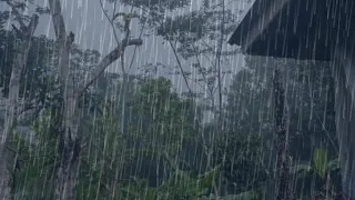 Heavy rain and strong winds in my village,I fell asleep instantly with the sound of heavy rain