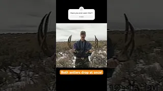 Caught on camera! BIG Buck Drops Antlers At Same Time!