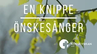 En knippe önskesånger