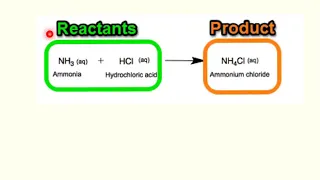 reactants and products