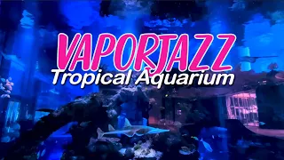 Tropical Aquarium | Immersive Mallsoft Experience | Relaxing Jazz Vaporwave