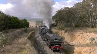 Steam locomotive Garratt 6029 Tumulla Bank June 2022