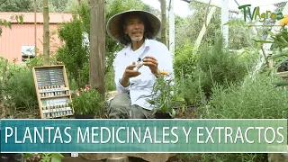 Plantas medicinales y extractos - TvAgro por Juan Gonzalo Angel Restrepo