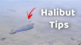 Halibut tips | Drop Shot Rig (EXPLAINED)