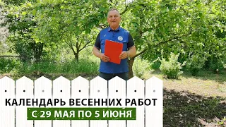 В помощь начинающим и опытным садоводам! Планируем и ухаживаем за садом и огородом по календарю