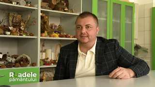 Facultatea de Științe ale Naturii și Științe Agricole; Fermă de pui; Gynura #roadelepamantului