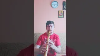 Michał - Native American Flute Improvisation [F#m key flute]