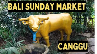 Canggu Sunday Market: A Bali Travel Vlog